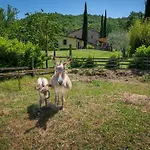 I Pietrini 3*