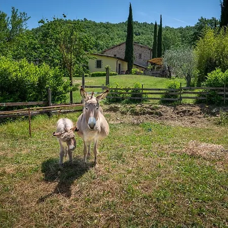 I Pietrini 3*
